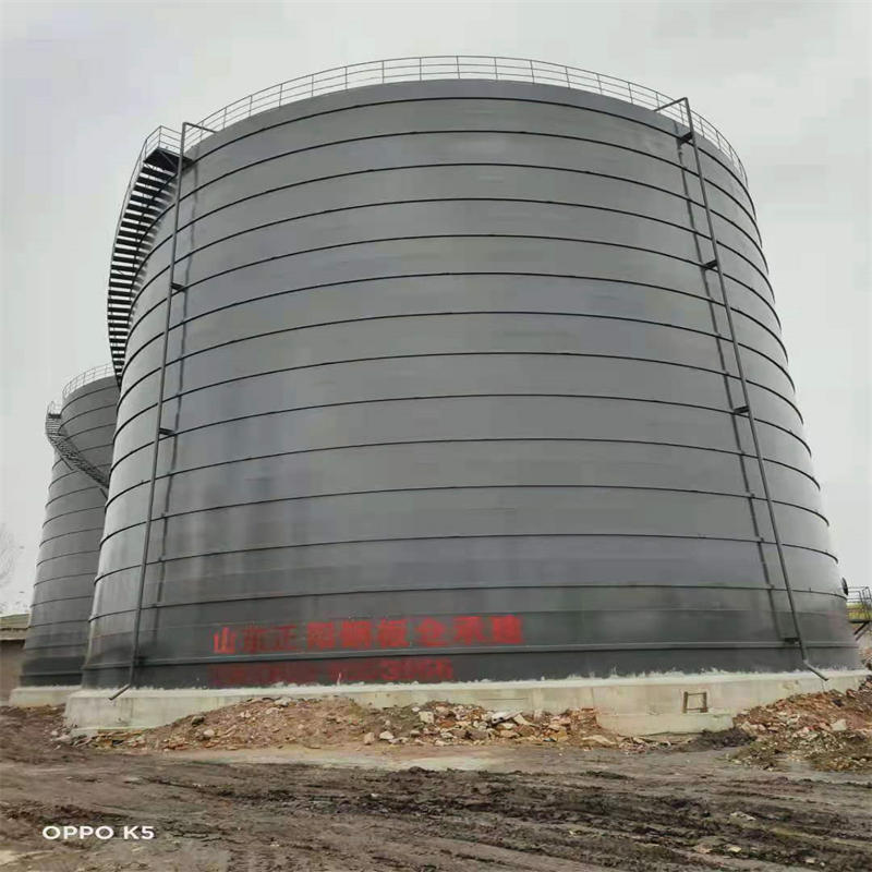 兰西3万吨大型钢板库